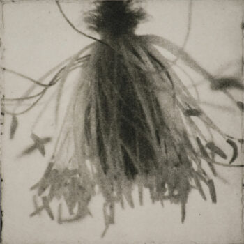 Teoksen nimi: Hortus 2