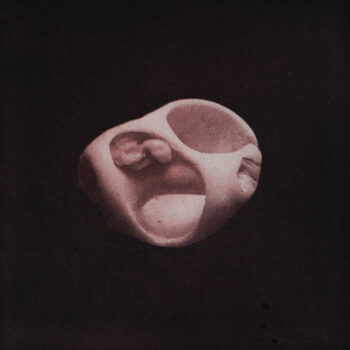 Teoksen nimi: Natura forma: Marinus 2