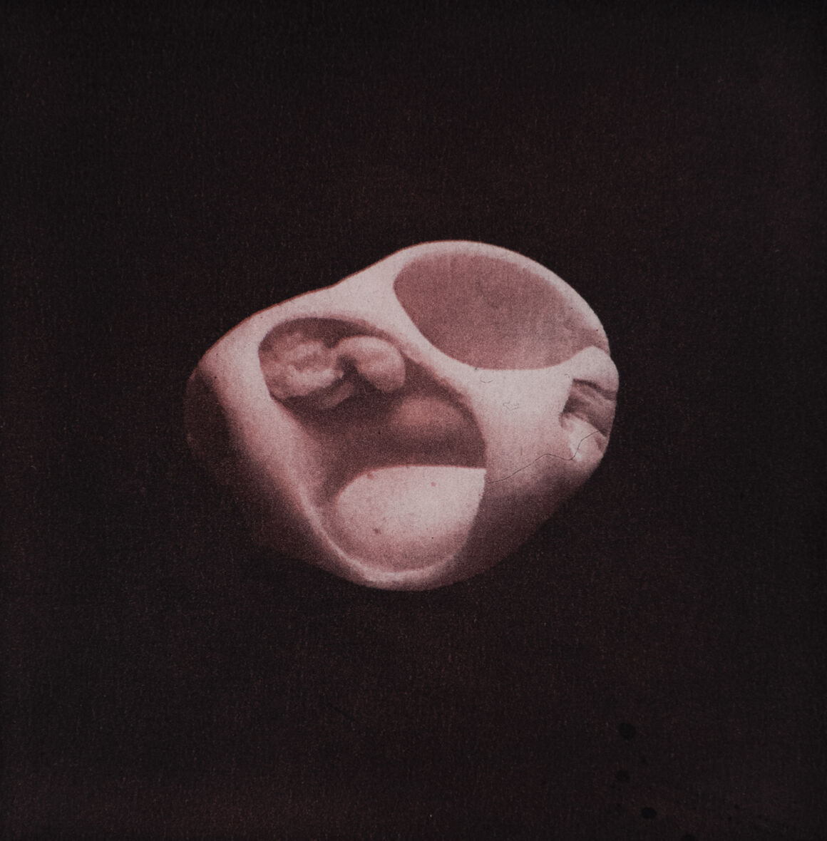 Natura forma: Marinus 2