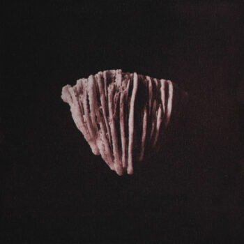 Teoksen nimi: Natura forma: Marinus 3