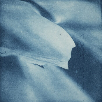 Teoksen nimi: Nietos 5