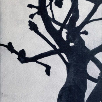 Teoksen nimi: Paljas