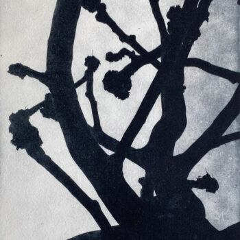 Teoksen nimi: Paljas II