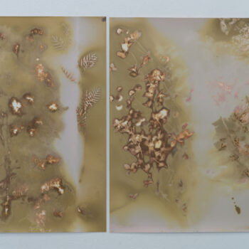 Name of the work: Chiaroscuro