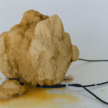 Name of the work: Clay