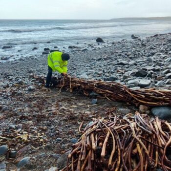 Additional work image