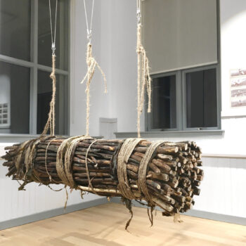 Name of the work: Transatlantic Kelp Cable