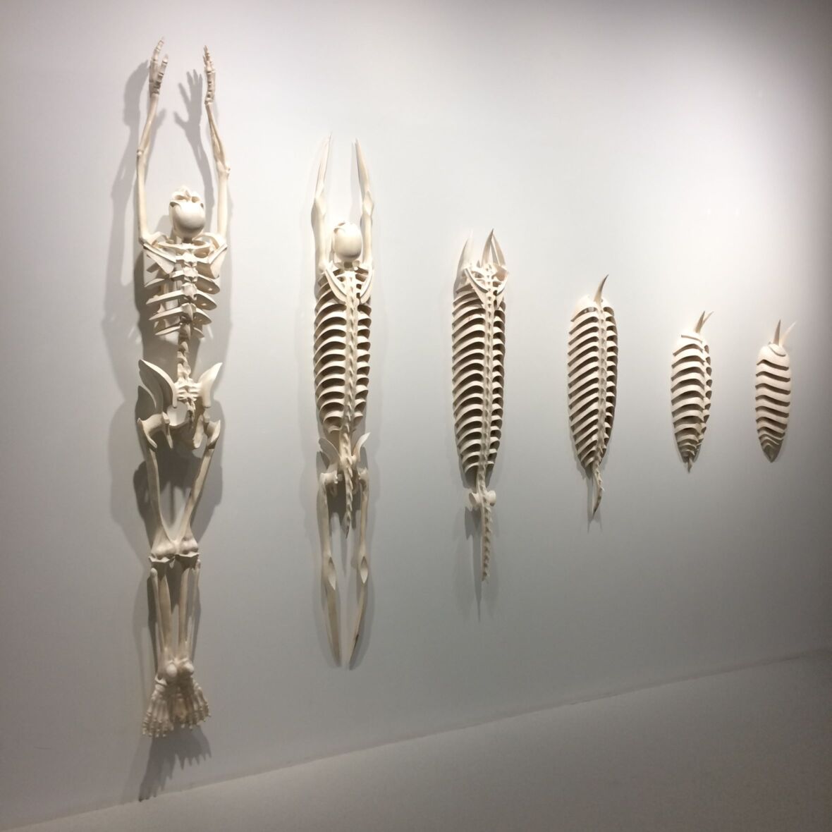 ”Plan B – Metamorfosis”