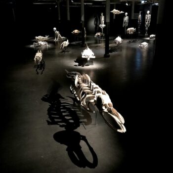 Teoksen nimi: ”Plan B, Finlayson Art Area 2023