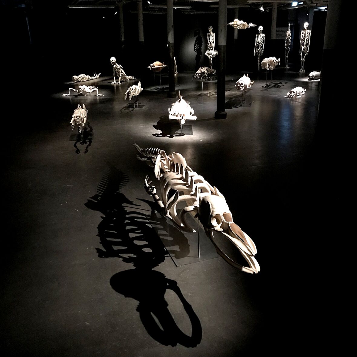 ”Plan B, Finlayson Art Area 2023