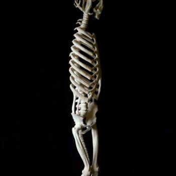 Teoksen nimi: ”Fleur du mal X ”