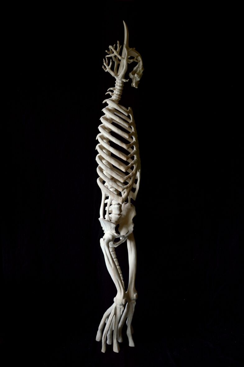 ”Fleur du mal X ”