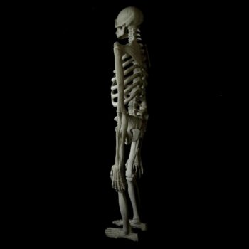 Additional work image