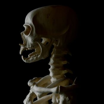 Teoksen nimi: ”Homo Rattus Norvegicus”