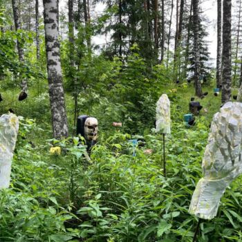 Additional work image