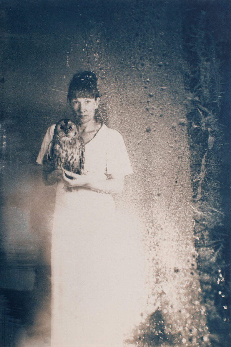 Meidän kuu on taivaalla