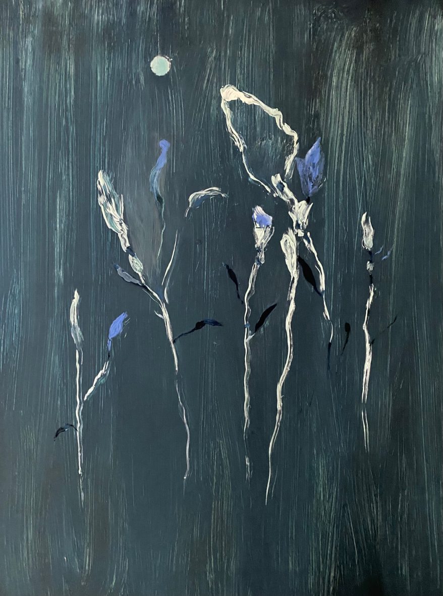 MOONFLOWERS