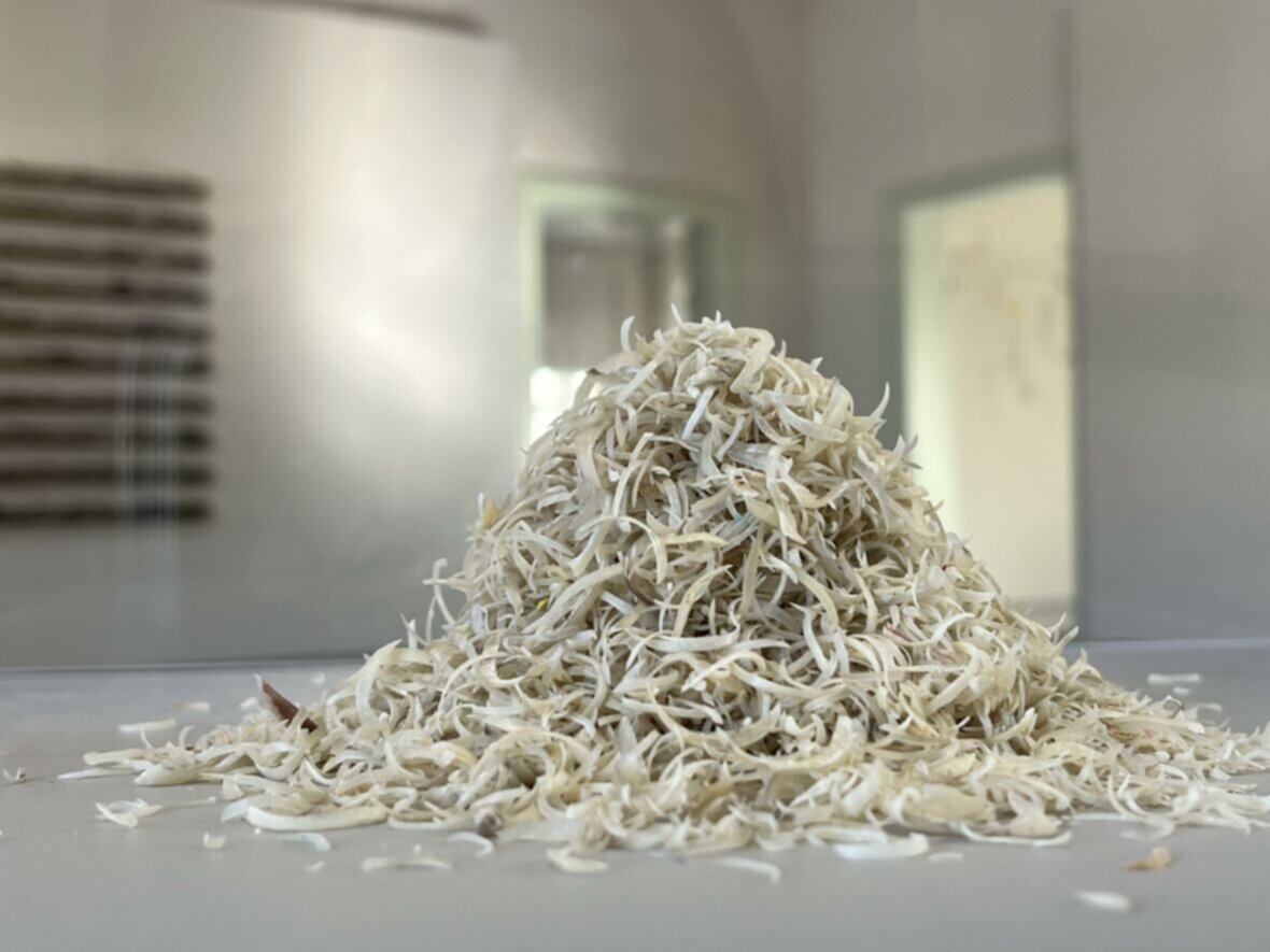 Vapaamatkalaiset – Drifting Away