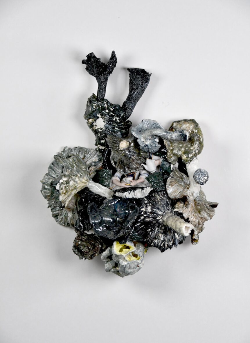 Mustat sienet / Svarta svampar