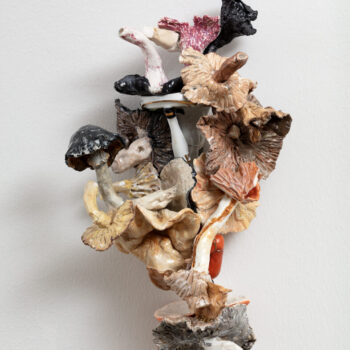 Teoksen nimi: Valkoinen sukka ja sieniä /En vit strumpa och svampar