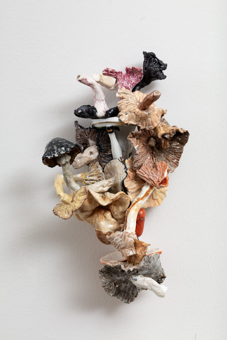 Valkoinen sukka ja sieniä /En vit strumpa och svampar