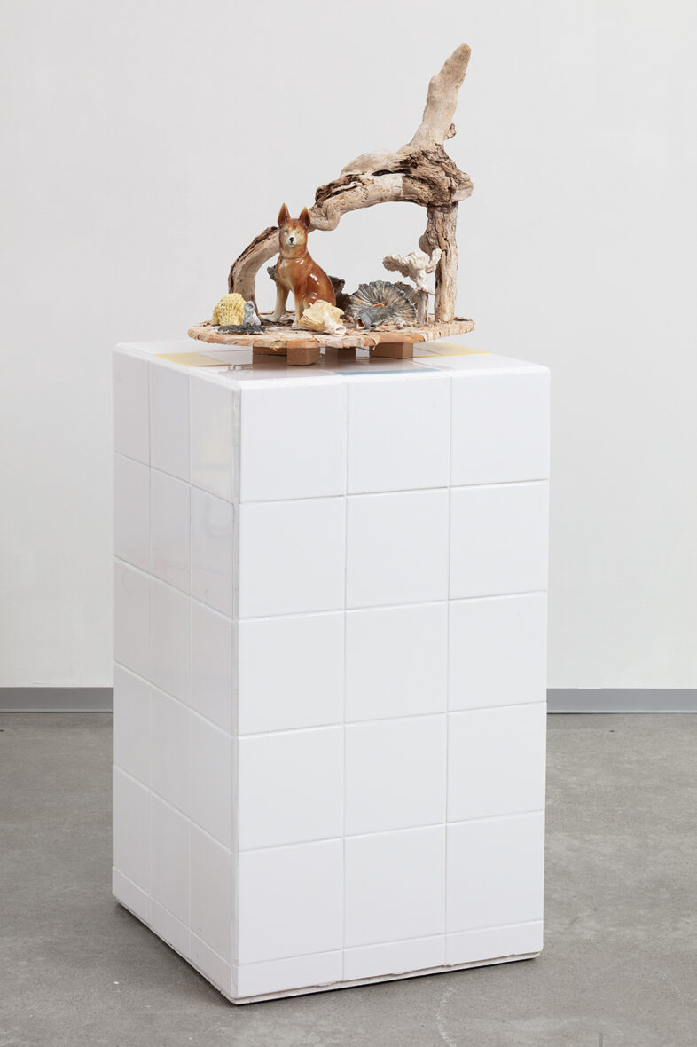 Koira ja sieniasetelma/ Svampstilleben med hund