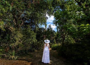 Teoksen nimi: Orto Botanica