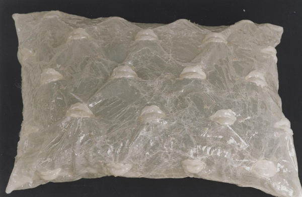 Absolution  2002 – Pillow Bubbles and Silicone Lips