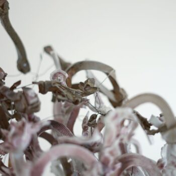 Additional work image