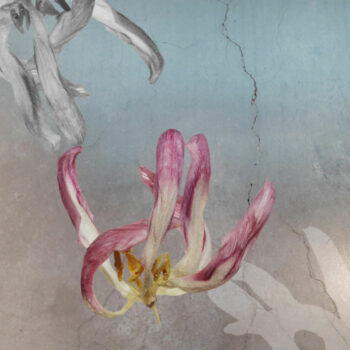 Teoksen nimi: Kosketus_Touch