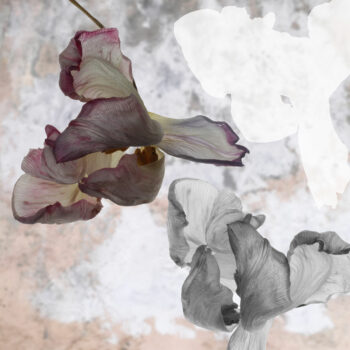 Teoksen nimi: Yhteys_Connection