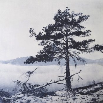 Name of the work: Murtosaaren vartija