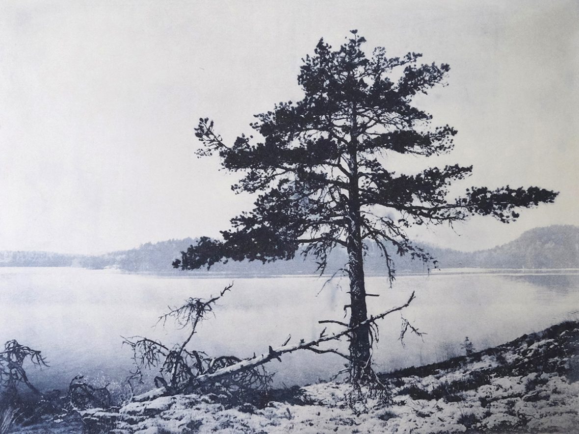 Murtosaaren vartija