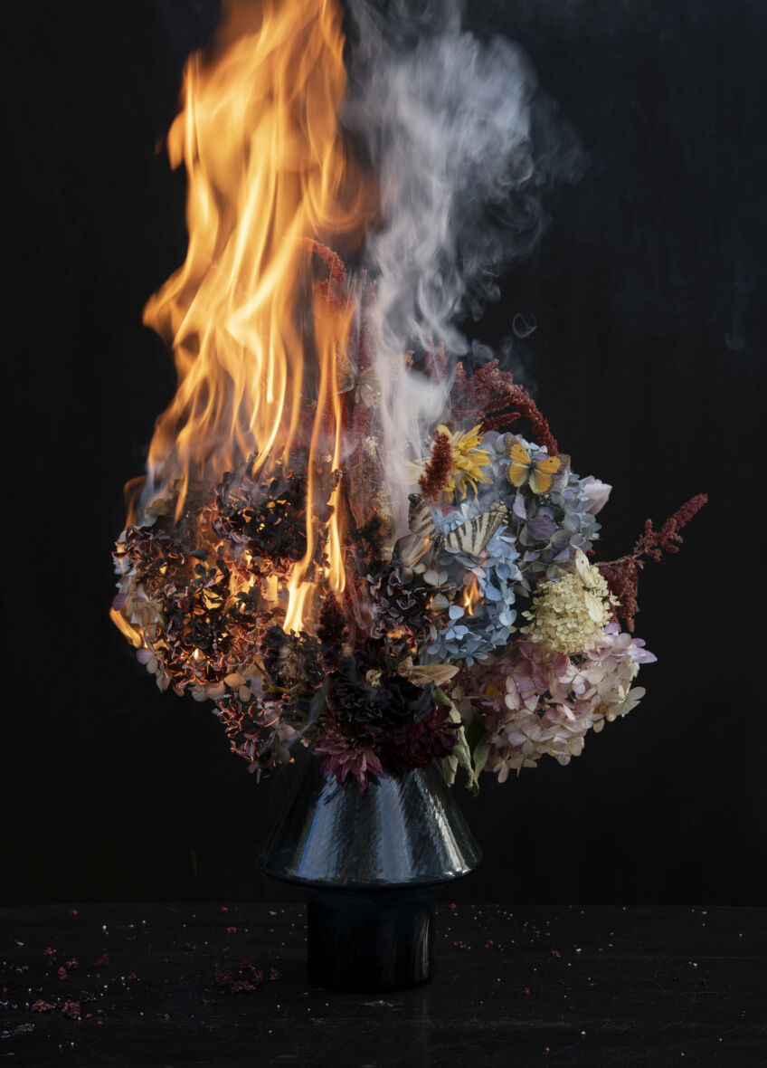 Flowers on Fire, from the series Greetings from Broken Flowers, 2022