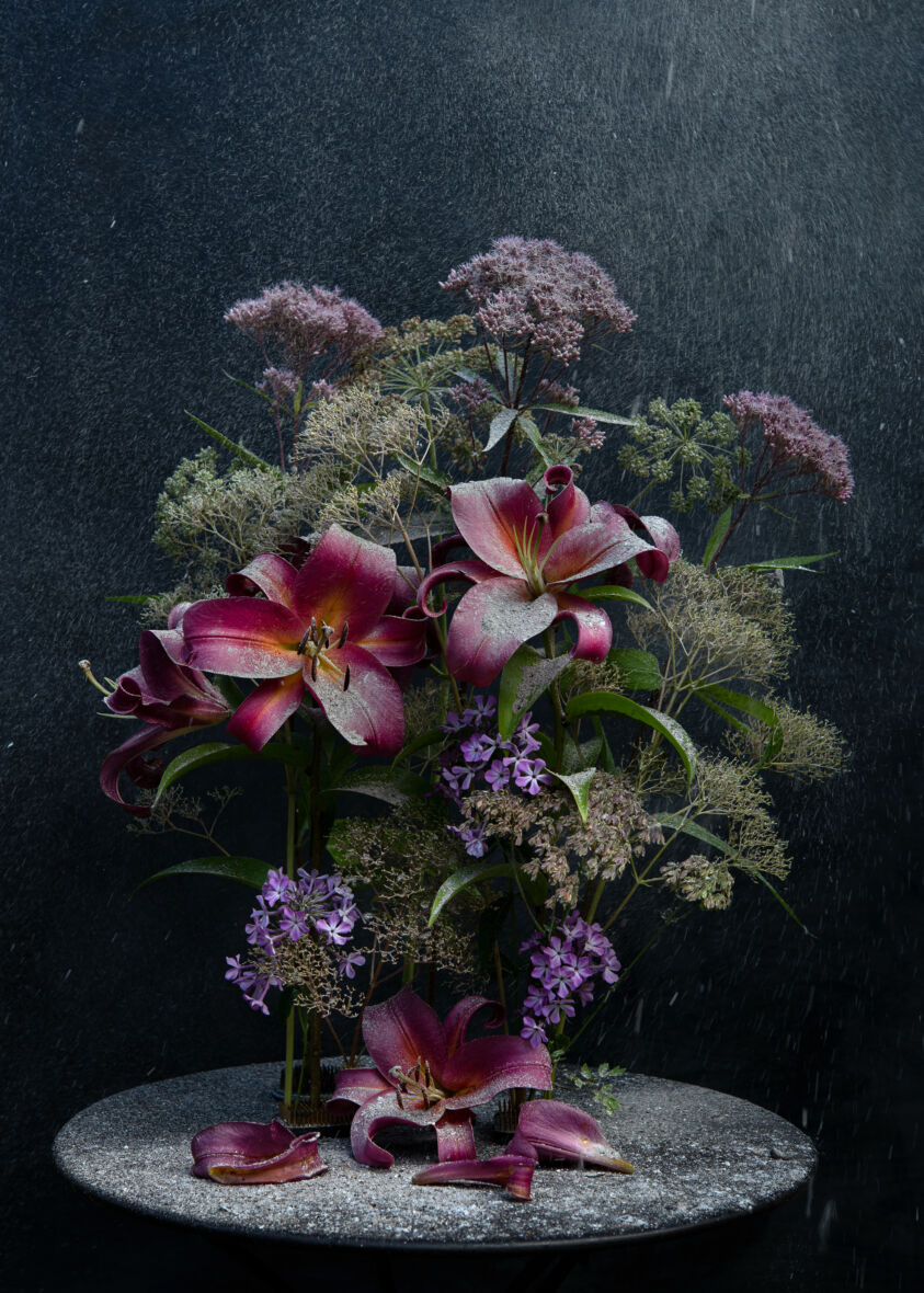 Flowers in Ash Rain, from the series Greetings from Broken Flowers, 2023