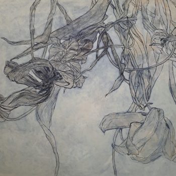 Teoksen nimi: sarjasta Katsomisharjoituksia/ tulppaanit