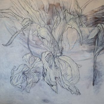 Teoksen nimi: sarjasta Katsomisharjoituksia/ tulppaanit