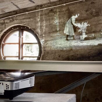 Teoksen nimi: ”Lupiiniefekti – Lupine Effect”, 2025. Outokumpu Mining Museum.