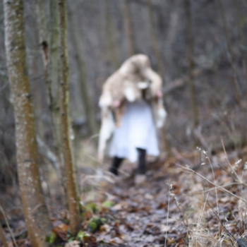 Teoksen nimi: Metsänhuomaan