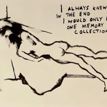 Teoksen nimi: I always knew that in the end I would only become one memory in your collection