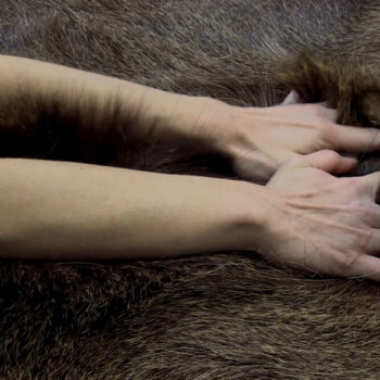 Teoksen nimi: Sääli