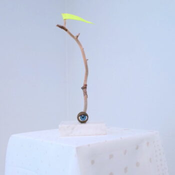 Teoksen nimi: A Pennant for the Clearcutter