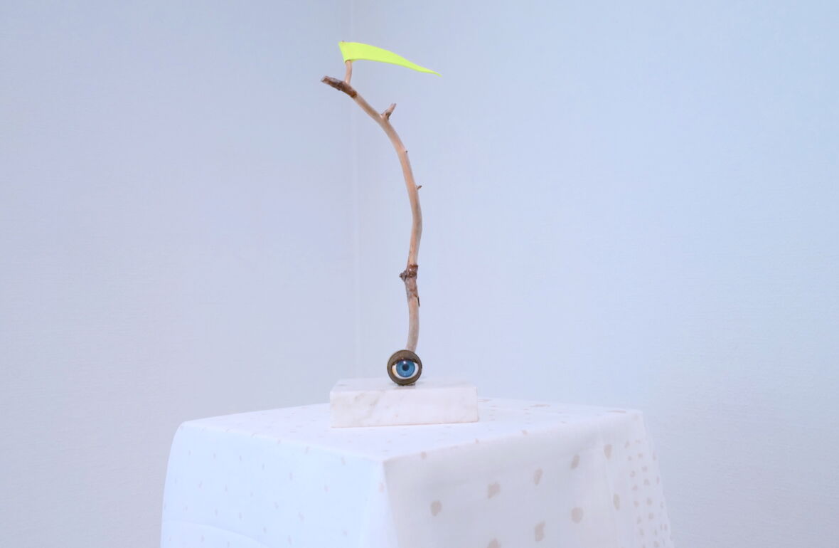 A Pennant for the Clearcutter