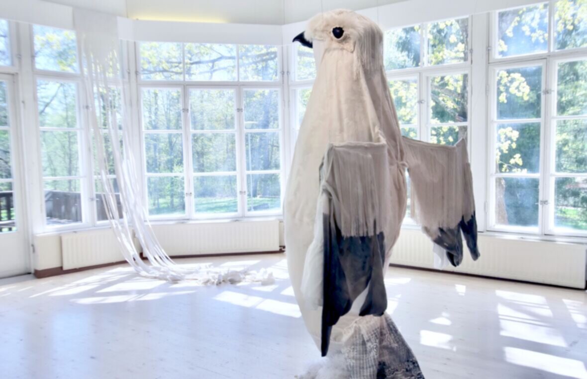 Kiiruna / A Rock Ptarmigan