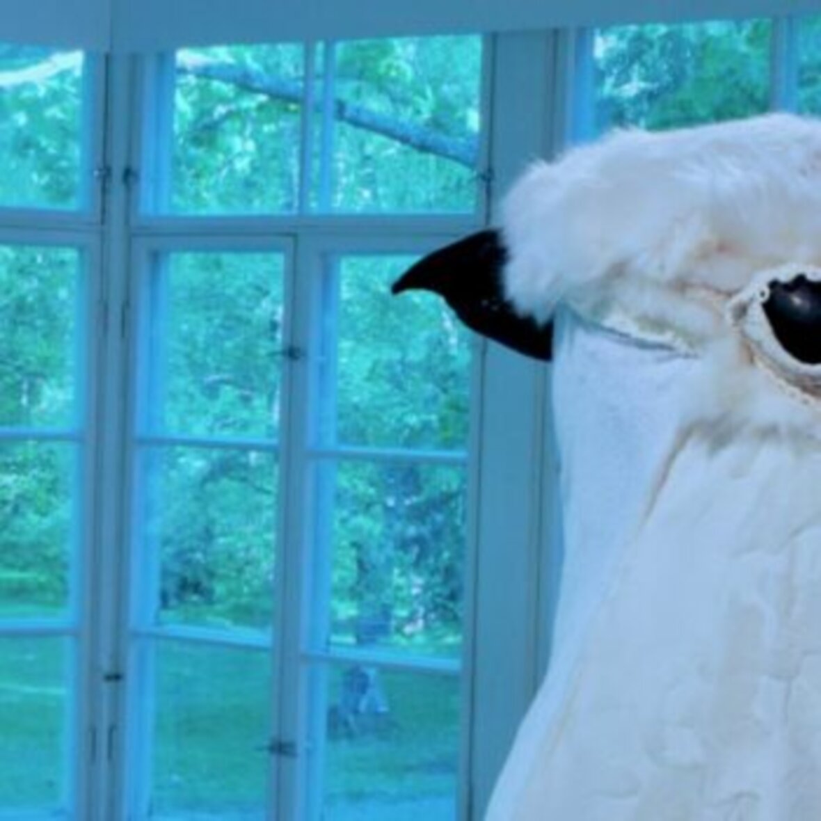 Additional work image