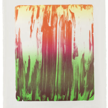 Teoksen nimi: Iiris I (Iris) 2009