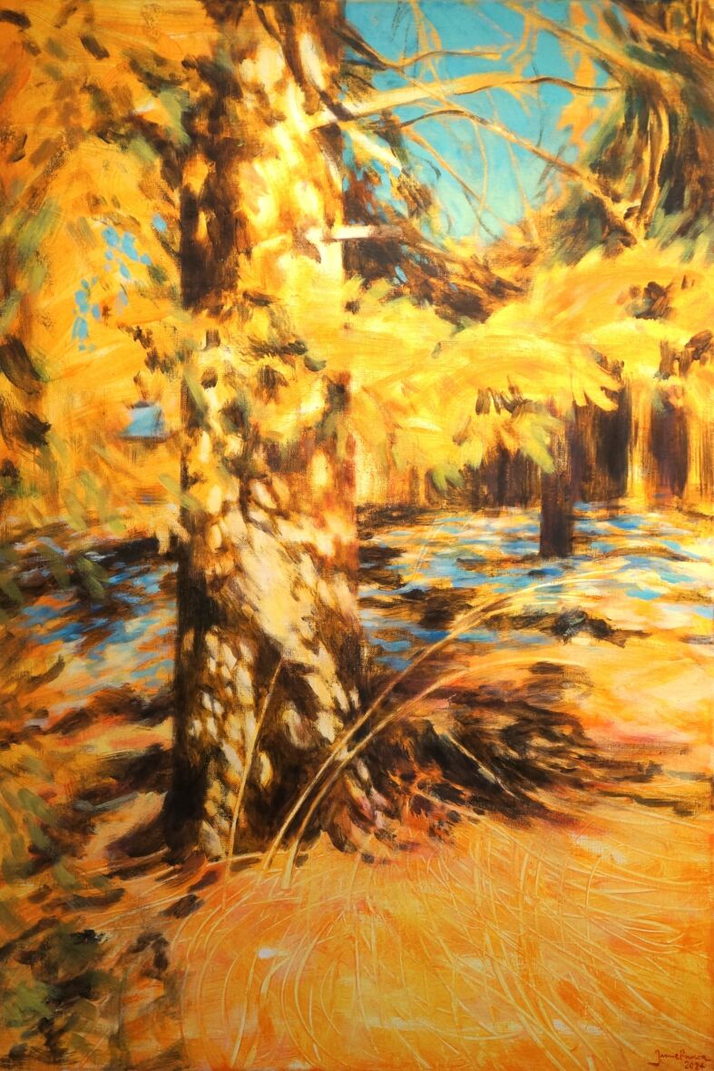 Pihakuusi keväällä