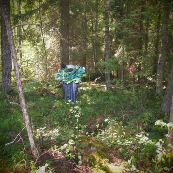 Name of the work: Homoplantaris