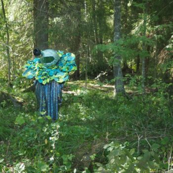 Additional work image