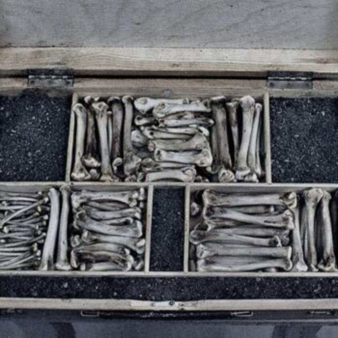 Teoksen nimi: Irti maalauksesta (yksityiskohta)